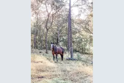 3050 E Possum Court, Inverness, FL 34452 - Photo 63