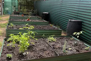 3050 E Possum Ct, Inverness, FL 34452 - Photo 69