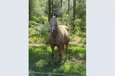 3050 E Possum Court, Inverness, FL 34452 - Photo 55