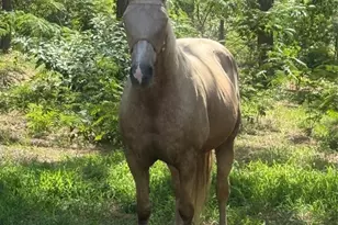 3050 E Possum Ct, Inverness, FL 34452 - Photo 55