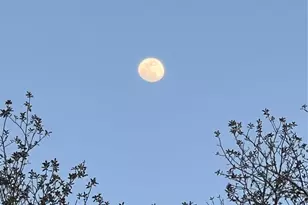 3050 E Possum Ct, Inverness, FL 34452 - Photo 73