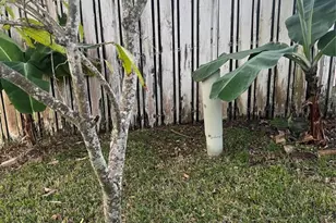 139 NW 72nd Ave, Plantation, FL 33317 - Photo 69