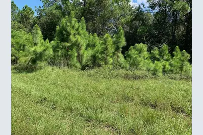 0 Old Grade Road, Polk City, FL 33868 - Photo 1