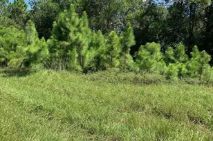 0 Old Grade Rd, Polk City, FL 33868 - Photo 1