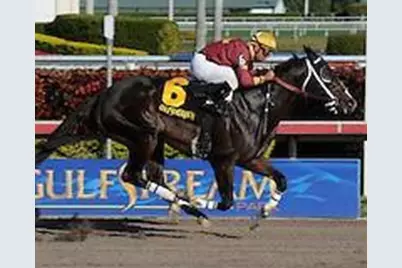 200 NE 14th Avenue #521, Hallandale Beach, FL 33009 - Photo 37