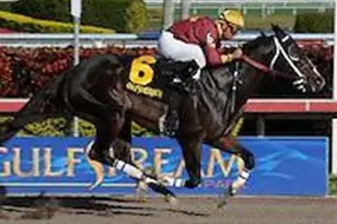 200 NE 14th Ave Unit, Hallandale Beach, FL 33009 - Photo 37