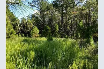 0 Old Grade Road, Polk City, FL 33868 - Photo 1