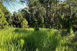 0 Old Grade Rd, Polk City, FL 33868 - Photo 1