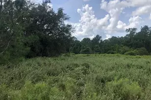 0 Old Grade Rd, Polk City, FL 33868 - Photo 1