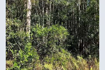 0 Old Grade Road, Polk City, FL 33868 - Photo 3