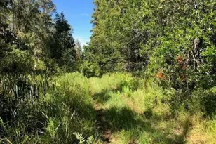 0 Old Grade Rd, Polk City, FL 33868 - Photo 1