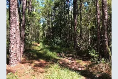 0 Old Grade Road, Polk City, FL 33868 - Photo 1