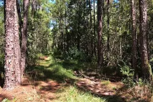 0 Old Grade Rd, Polk City, FL 33868 - Photo 1