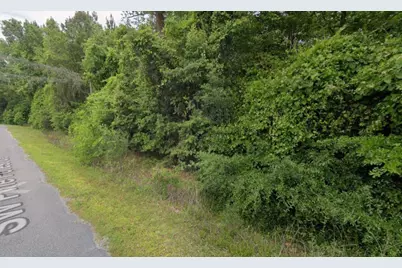 291 SW Pine Forest Court, Lake City, FL 32024 - Photo 3