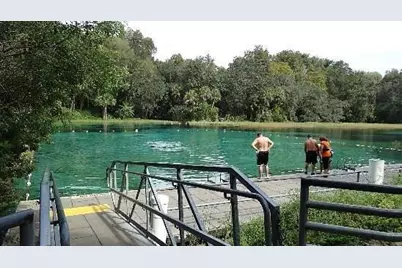 Lot1 SW Lot1 158th Court, Ocala, FL 34481 - Photo 7