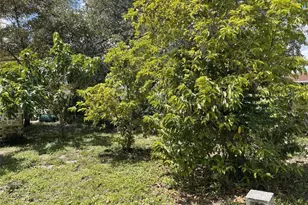 671 NW 38th St, Deerfield Beach, FL 33064 - Photo 43