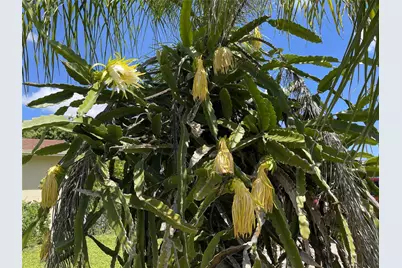 671 NW 38th Street, Deerfield Beach, FL 33064 - Photo 9