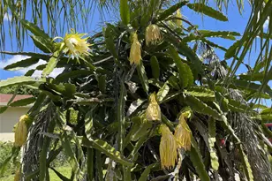 671 NW 38th St, Deerfield Beach, FL 33064 - Photo 9