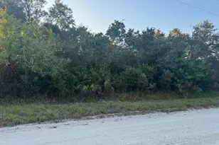 375 Carole Rd, Lake Placid, FL 33852 - Photo 1