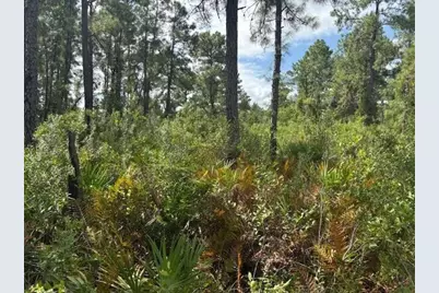 0 Hwy 630E, Frostproof, FL 33843 - Photo 1