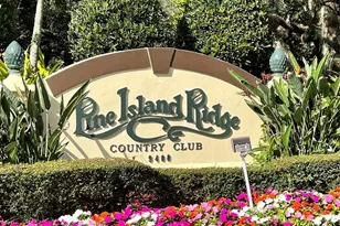 9101 SW 19th Pl, Davie, FL 33324 - Photo 41