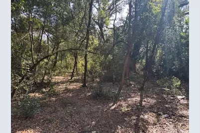 0 County Rd 54, Kathleen, FL 33849 - Photo 1