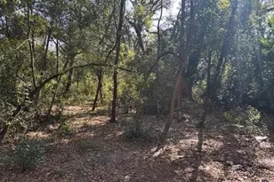 0 Co Rd 54, Kathleen, FL 33849 - Photo 1