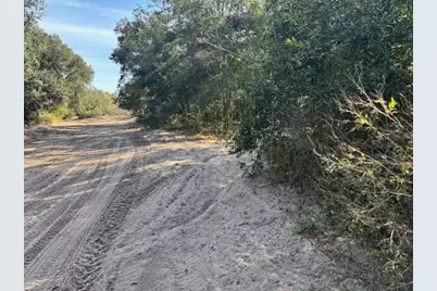 0 County Rd 54, Kathleen, FL 33849 - Photo 3
