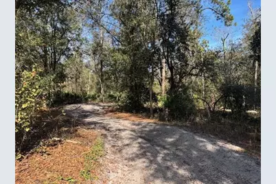 0 County Rd 54, Kathleen, FL 33849 - Photo 3