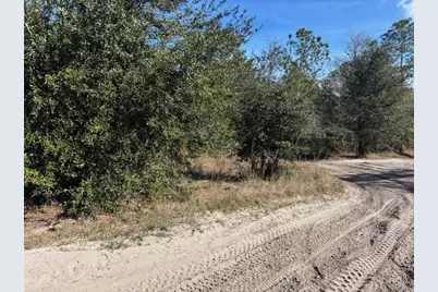 0 County Rd 54, Kathleen, FL 33849 - Photo 3
