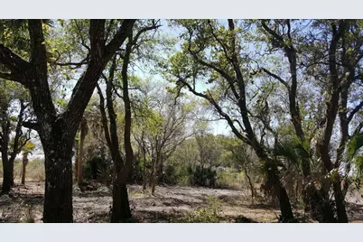 16120 NW 300th Street, Okeechobee, FL 34972 - Photo 7