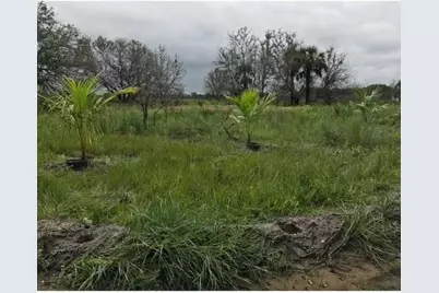 16120 NW 300th Street, Okeechobee, FL 34972 - Photo 1