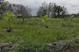 16120 NW 300th St, Okeechobee, FL 34972 - Photo 1