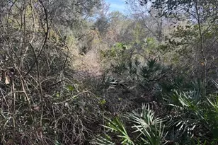 0 Co Rd 54, Kathleen, FL 33849 - Photo 1