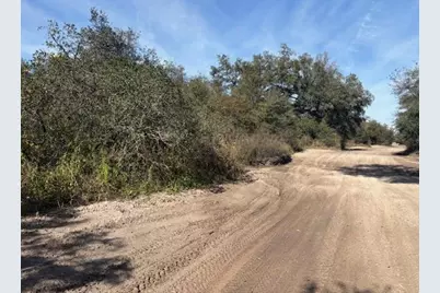 0 County Rd 54, Kathleen, FL 33849 - Photo 3