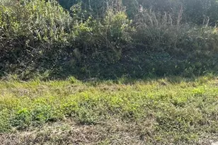 14938 NW 254th St, Okeechobee, FL 34972 - Photo 1