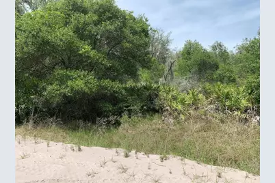 0 County Rd 54, Kathleen, FL 33849 - Photo 1