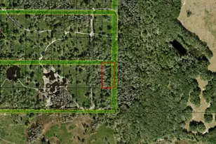 0 Co Rd 54, Kathleen, FL 33849 - Photo 1