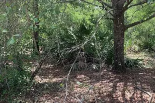 0 Co Rd 54, Kathleen, FL 33849 - Photo 1