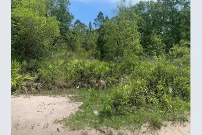0 County Rd 54, Kathleen, FL 33849 - Photo 1