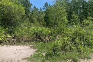 0 Co Rd 54, Kathleen, FL 33849 - Photo 1