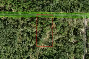 0 Co Rd 54, Kathleen, FL 33849 - Photo 1