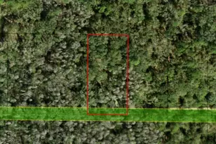 0 Co Rd 54, Kathleen, FL 33849 - Photo 1