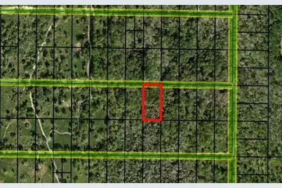 0 County Rd 54, Kathleen, FL 33849 - Photo 1
