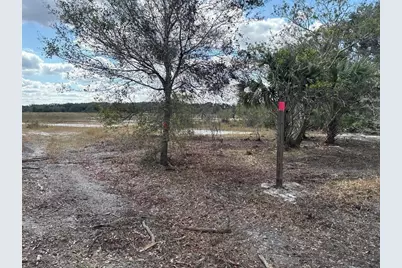 0 298th Street, Okeechobee, FL 34972 - Photo 1