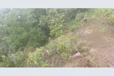 0 298th Street, Okeechobee, FL 34972 - Photo 3