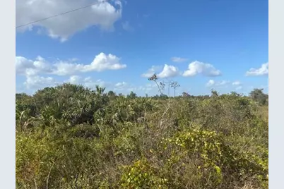 15463 NW 256th Street, Okeechobee, FL 34972 - Photo 1