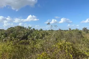 15463 NW 256th St, Okeechobee, FL 34972 - Photo 1