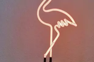 2611 NE 20th St, Pompano Beach, FL 33062 - Photo 11