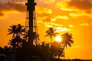 2611 NE 20th St, Pompano Beach, FL 33062 - Photo 39